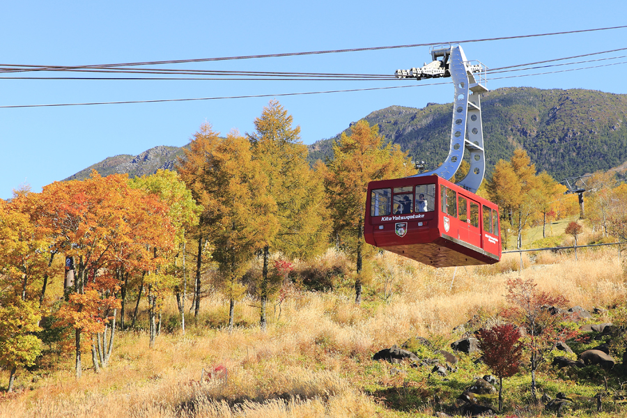 北八ヶ岳ロープウェイ